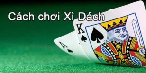 Tìm hiểu về trò chơi được ưa thích nhất trong các game bài